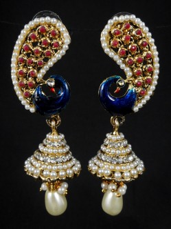 Fashion Earrings